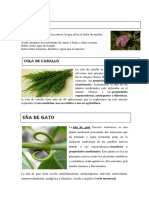 plantas.docx