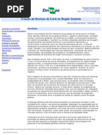 Criação de Bovinos de Corte