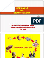 Life Cycle and Gerontology