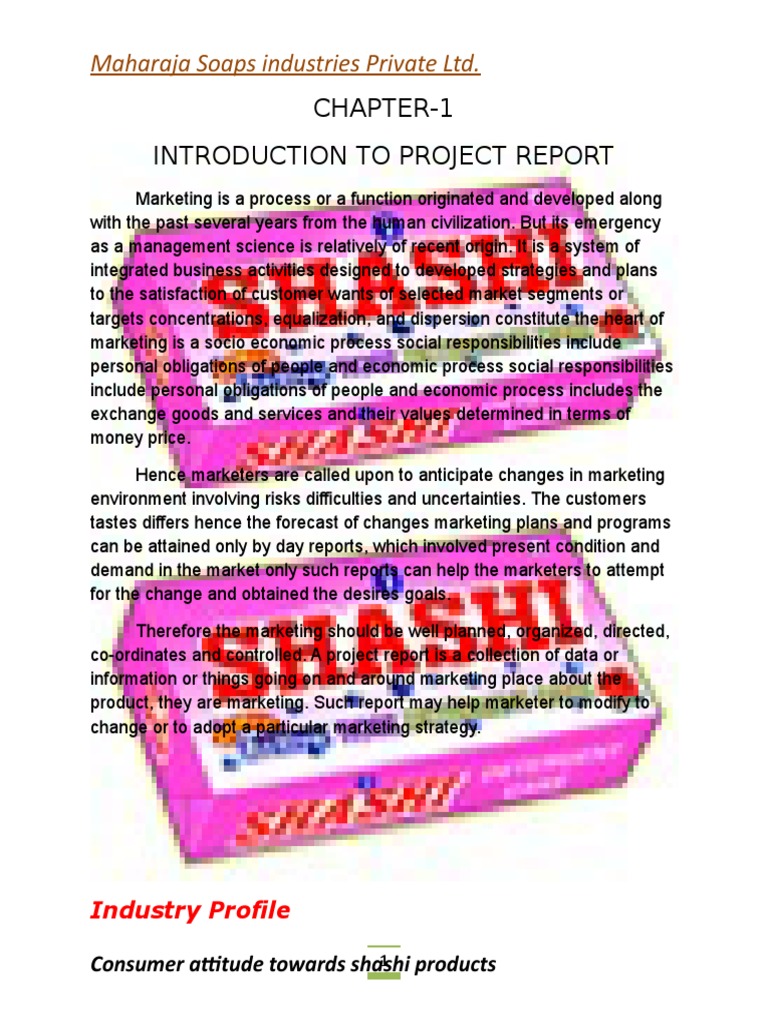 An Analysis of the Soap and Detergent Industry in India with a Focus on Maharaja Soaps