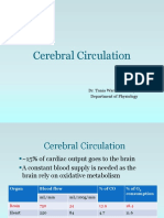 Cerebral Circulation 2018.pptx
