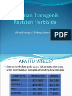 Aplikasi Bioteknologi Di Bidang Perbenihan