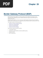 Border Gateway Protocol (BGP) PDF