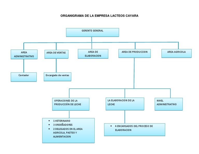 ORGANIGRAMA DE LA EMPRESA LACTEOS CAYARA (1).docx