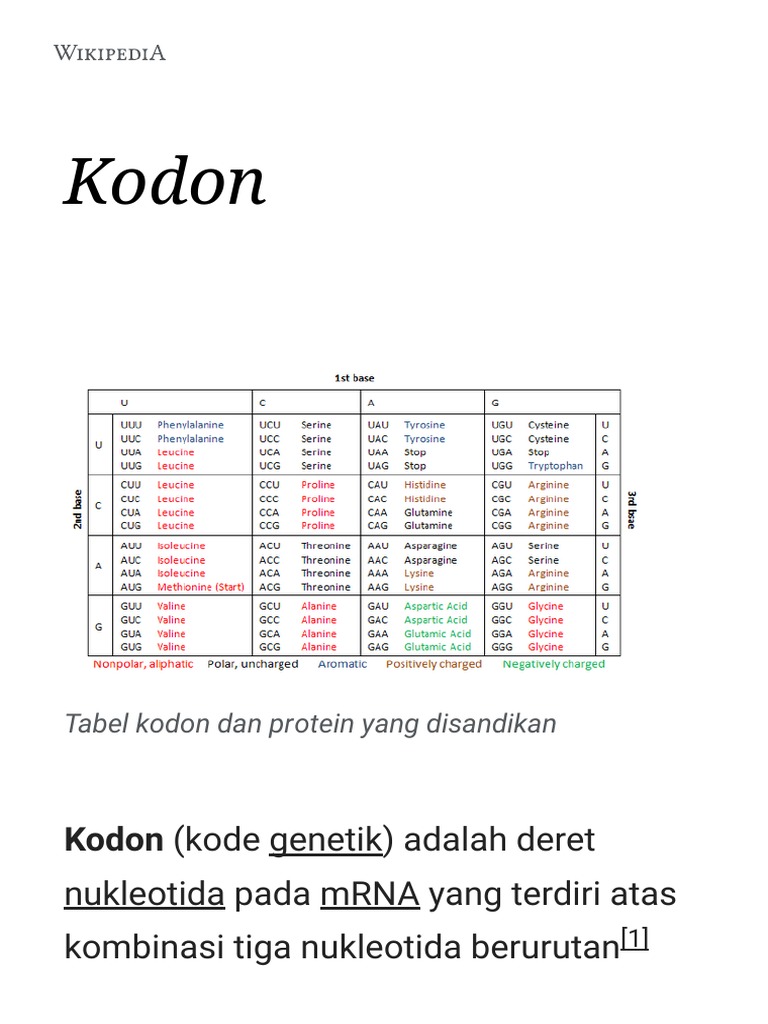 Kodon | PDF | Seni & Disiplin Bahasa | Kajian Bahasa Asing