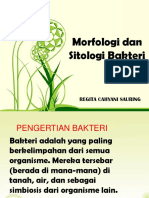 Morfologi Dan Sitologi Bakteri