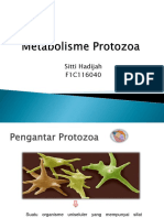 Metabolisme Protozoa Sitti Hadijah