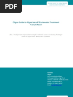 Download Waste Water Treatment Using Algae Report Preview by Shyam Rajan SN39377783 doc pdf