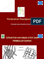 Materi Perdarahan Postpartum