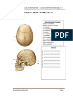 01 Musculoskeletal