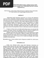 Download 7861 Anti Rayap Dengan Ekstrak Daun Kecubung  Bintaro by Andri  SN39378607 doc pdf
