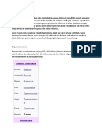 Trypanosoma: Parasit Darah Protozoa