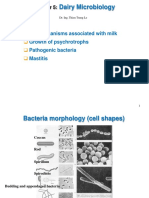 Chapter 5 - Dairy Microbiology