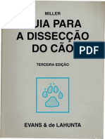 Guia para dissecação de cão