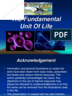 The Fundamental Unit of Life