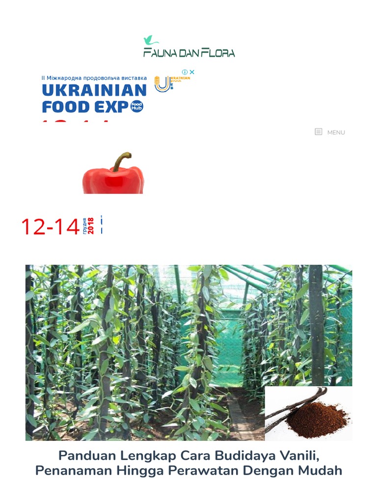 Cara Budidaya Porang Pdf