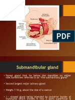Submandibular Gland: Functions, Anatomy, Diseases and Treatments