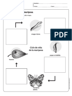 Ciclo Mariposa PDF