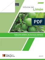 boletin-informe-limon (1).pdf