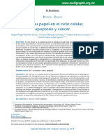 BCL2 SU PAPEL EN EL CICLO CELULAR - APOPTOSIS Y CANCER.pdf