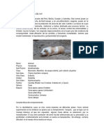 Docdownloader.com Descripcion Zoologica Del Cuy