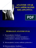 anatomi otak.ppt