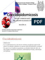 Coccidioidomicosis