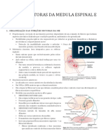 Funçoes Motoras Da Medula Espinal e Reflexos