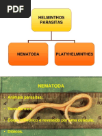 Ascaris Lumbricoides