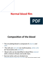 Normal Blood Film