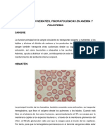Fisiologia y fisiopatologia de hematies, anemia y policitemia.PDF