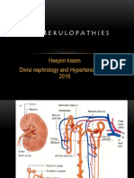 Glomerulopathies: Hasyim Kasim Divisi Nephrology and Hypertensi FKUH 2016