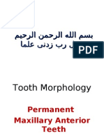 Maxillary Centeral Incisor