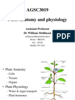 Plant Anatomy and Physiology 1(1)