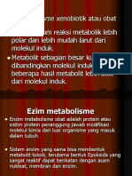 Metabolisme Obat