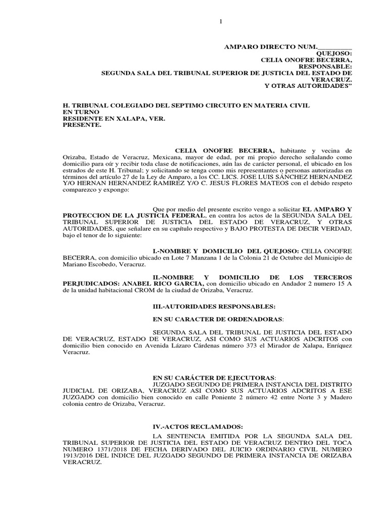 Amparo Ejemplo | PDF | Caso de ley | Debido al proceso