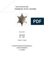 Asuhan Keperawatan Otitis Externa