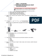 Latihan Soal Kelas 5 Tema 5 Subtema 2 PDF