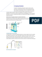 protein gel electrophoresis.pdf