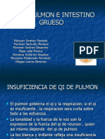 Pulmon e Intestino Grueso 1411 Equipo Uno 1