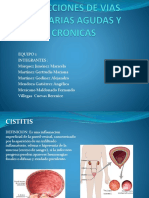 infecciones-agudas-y-cronicas-equipo-1-1411.pptx