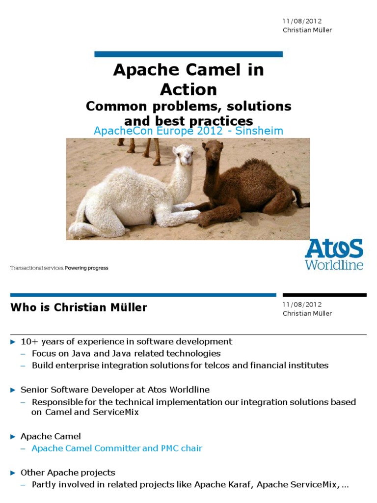 Apache Camel In Action Common Problems Solutions And Best Practices Database Transaction Databases