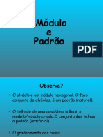 Modulo Padrao