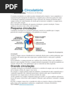 Sistema Circulatório.docx
