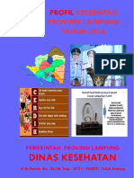 Data Dan Informasi Kesehatan Profil Kesehatan Indonesia 2016 - Smaller Size - Web