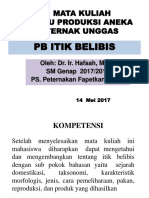 PB Itik Belibis 2018 (Autosaved)