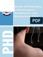 Bioenergetics Acupuncture Phd