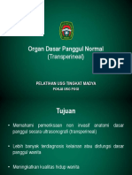 Organ Dasar Panggul Normal