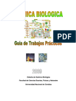 Guia Quimica Biologica-2009 PDF