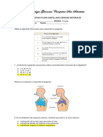 Taller de Repaso Acumulativo Naturales 2 Periodo